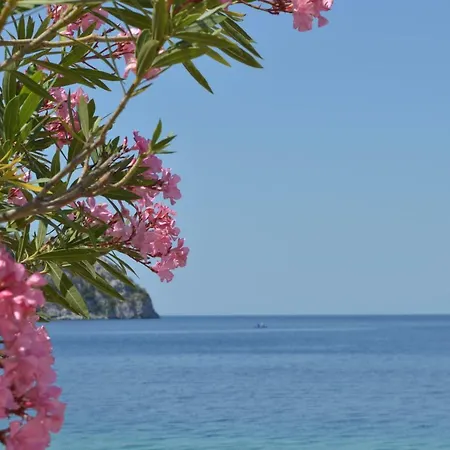 Porto Blue Chalkidiki